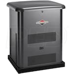 Briggs & Stratton 40445