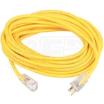 Coleman Cable Polar/Solar 12 GA, 100 FT Extension Cord (Scratch & Dent)