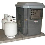 Briggs & Stratton 40248A - PowerNow™ 7kW Propane/Natural Gas Generator