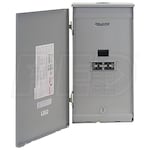 Reliance Controls 100-Amp Outdoor Transfer Panel w/ Wattmeters