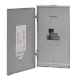 Reliance Controls 200-Amp Outdoor Manual Transfer Panel