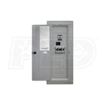 Reliance Controls 100-Amp Utility/60-Amp (GFI) Gen Indoor Transfer Panel w/ Meters