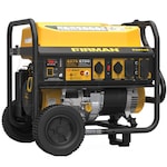 Firman Generators P06702