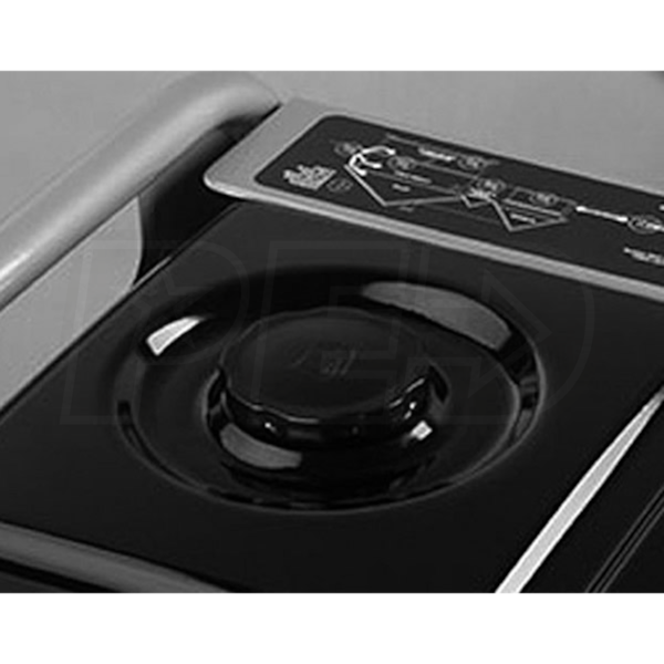 Briggs & Stratton 30466