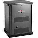 Briggs & Stratton 40450