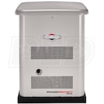 Briggs & Stratton 040689