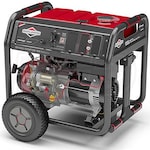 Briggs & Stratton 30679