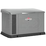 Briggs & Stratton 40622