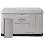 Briggs & Stratton 040678