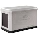 Briggs & Stratton 040756