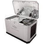 Briggs & Stratton 040782