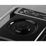 Briggs & Stratton 30466