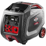 Briggs & Stratton 30545