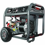Briggs & Stratton 30549-SD