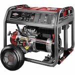 Briggs & Stratton 30663