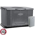 Briggs & Stratton 40401