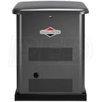 Briggs & Stratton 40450