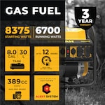 Firman Generators P06702