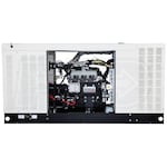 Generac Protector RG08045ANAC