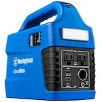 Westinghouse IGEN300S