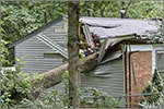 Downed tree on house