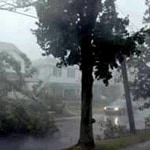 Downed Trees Blocking Road