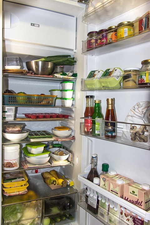 Refrigerator food