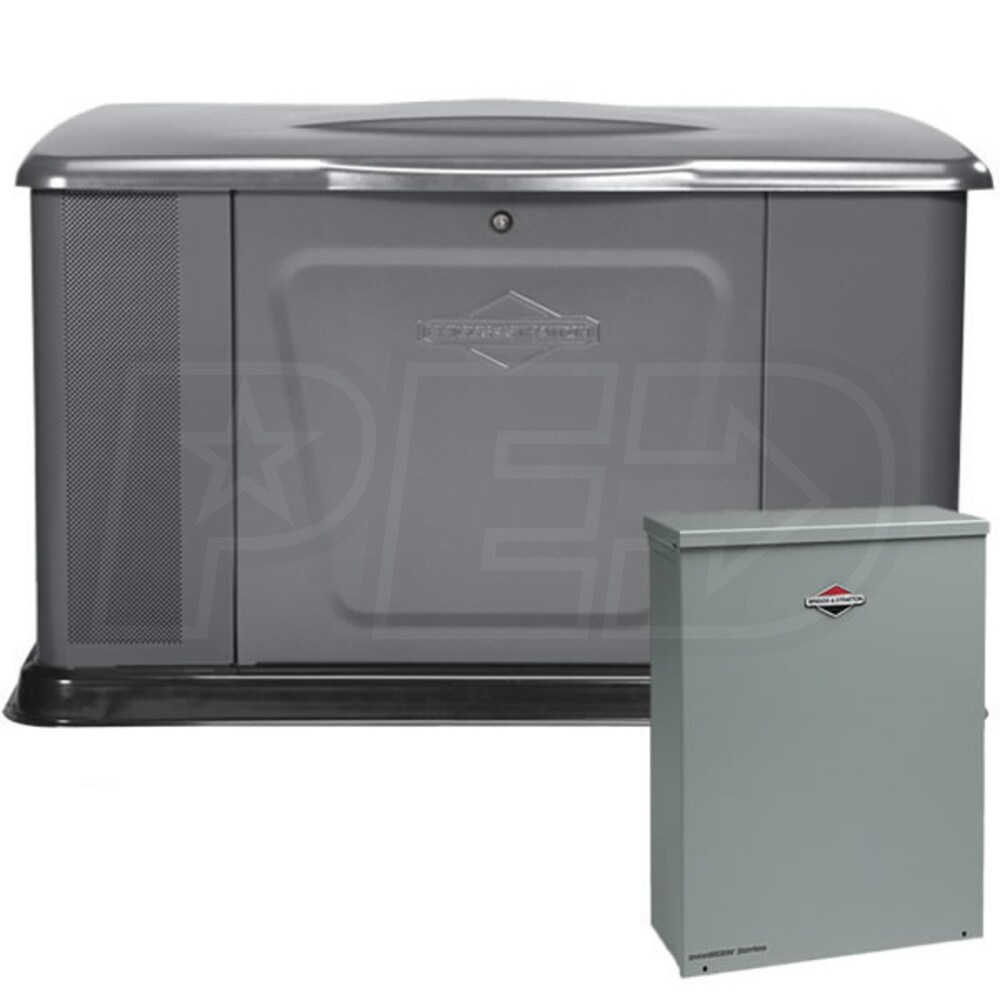 Briggs & Stratton 40393