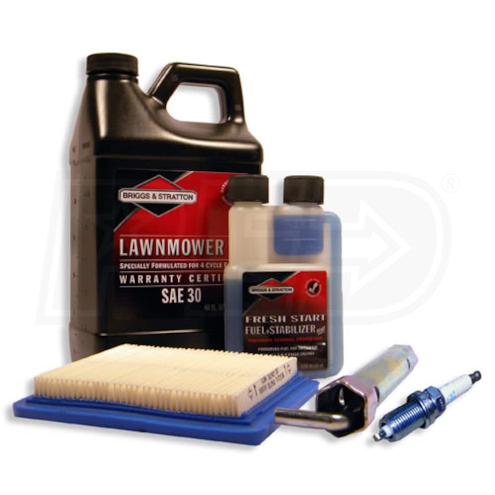 Briggs & Stratton 6089