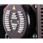 Briggs & Stratton 30207