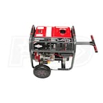 Briggs & Stratton EGD-30664BULK