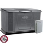 Briggs & Stratton 40368