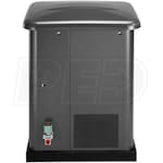 Briggs & Stratton 40451