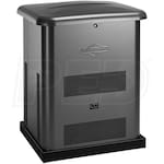 Briggs & Stratton 40453