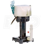 Learn More About 540005 Learn More About 540005