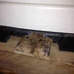 Generac Guardian 6247-SD