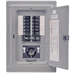 Reliance Controls 60-Amp Prewired Indoor Transfer Panel w/ 20-Amp Inlet