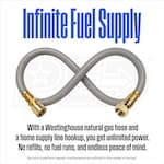 Westinghouse W12NGH25