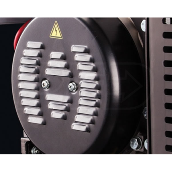 Briggs & Stratton 30468