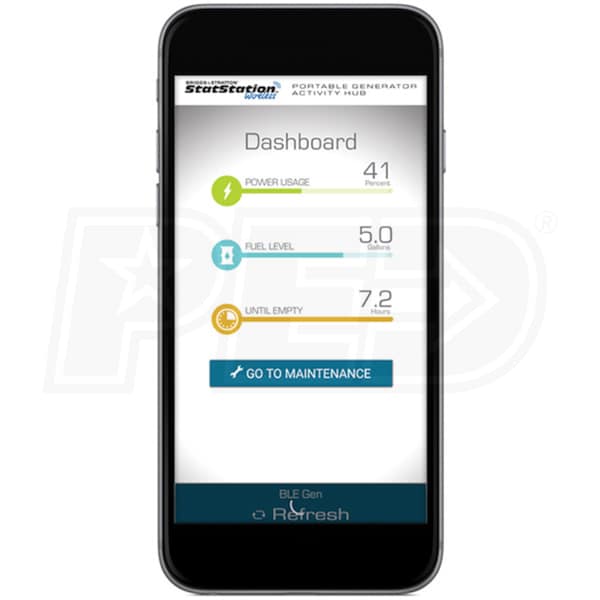 Briggs & Stratton 30679