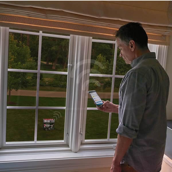 Briggs & Stratton 30679